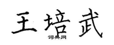 何伯昌王培武楷書個性簽名怎么寫
