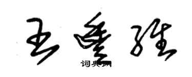 朱錫榮王豐維草書個性簽名怎么寫