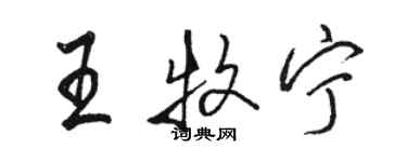 駱恆光王牧寧行書個性簽名怎么寫