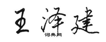 駱恆光王澤建行書個性簽名怎么寫