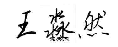 王正良王淼然行書個性簽名怎么寫
