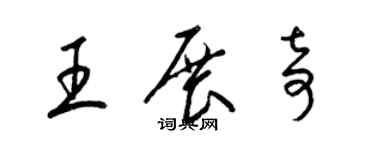 梁錦英王展奇草書個性簽名怎么寫