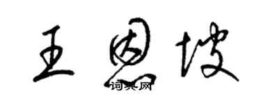 梁錦英王恩坡草書個性簽名怎么寫