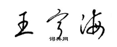 梁錦英王寧海草書個性簽名怎么寫