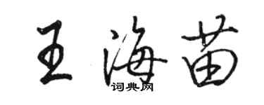 駱恆光王海苗行書個性簽名怎么寫