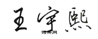 駱恆光王宇熙行書個性簽名怎么寫