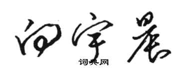 駱恆光向宇晨草書個性簽名怎么寫