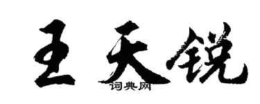 胡問遂王天銳行書個性簽名怎么寫