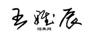 朱錫榮王雅辰草書個性簽名怎么寫