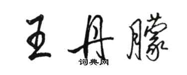 駱恆光王丹朦行書個性簽名怎么寫