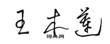 駱恆光王木蓮草書個性簽名怎么寫