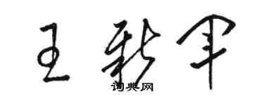 駱恆光王新軍草書個性簽名怎么寫