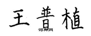 何伯昌王普植楷書個性簽名怎么寫