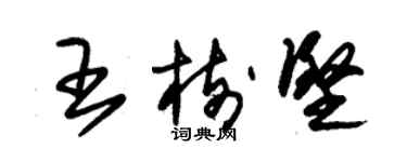 朱錫榮王樹堅草書個性簽名怎么寫