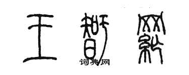 陳墨王智綱篆書個性簽名怎么寫