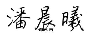 王正良潘晨曦行書個性簽名怎么寫