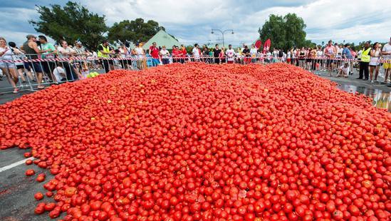 澳洲5千人穿泳衣參加番茄大戰 街上“血流成河”