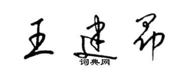 梁錦英王建昂草書個性簽名怎么寫