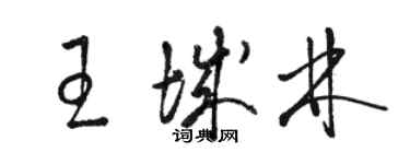 駱恆光王城林草書個性簽名怎么寫