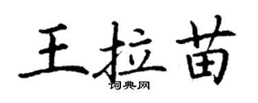 丁謙王拉苗楷書個性簽名怎么寫