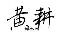 王正良黃耕行書個性簽名怎么寫