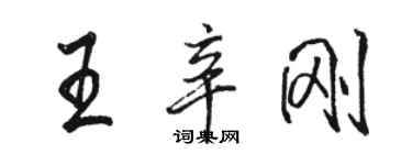 駱恆光王辛剛行書個性簽名怎么寫