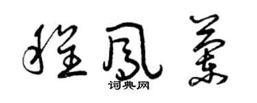 曾慶福程鳳蘭草書個性簽名怎么寫