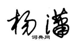朱錫榮楊瀟草書個性簽名怎么寫