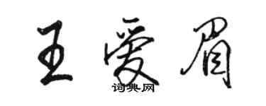 駱恆光王愛眉行書個性簽名怎么寫