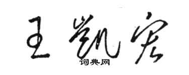 駱恆光王凱宏草書個性簽名怎么寫