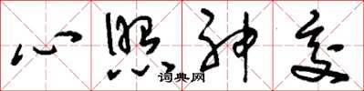 劉少英心照神交草書怎么寫