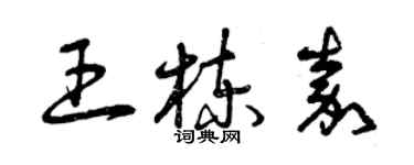 曾慶福王棟嘉草書個性簽名怎么寫