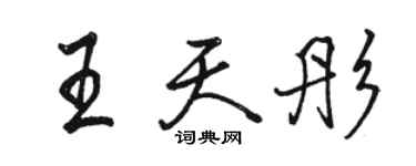 駱恆光王天彤行書個性簽名怎么寫
