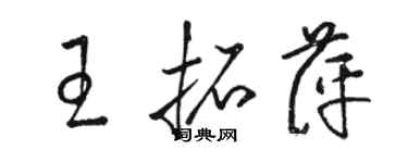 駱恆光王拓萍草書個性簽名怎么寫