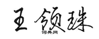 駱恆光王領珠行書個性簽名怎么寫