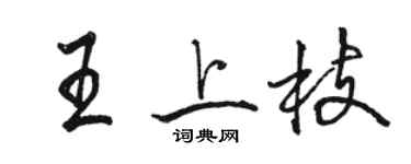 駱恆光王上枝行書個性簽名怎么寫