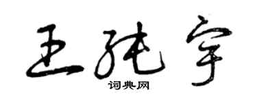 曾慶福王純宇草書個性簽名怎么寫