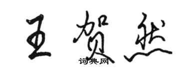 駱恆光王賀然行書個性簽名怎么寫