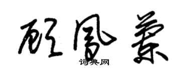 朱錫榮顧鳳蘭草書個性簽名怎么寫