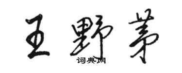 駱恆光王野茅行書個性簽名怎么寫