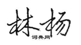 駱恆光林楊行書個性簽名怎么寫