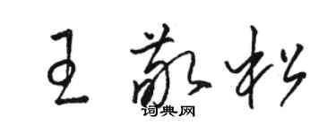 駱恆光王敬松草書個性簽名怎么寫