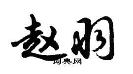 胡問遂趙羽行書個性簽名怎么寫