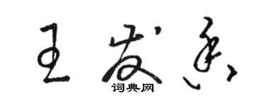 駱恆光王發香草書個性簽名怎么寫