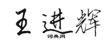 駱恆光王進輝行書個性簽名怎么寫