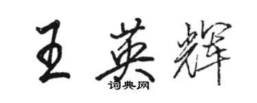 駱恆光王英輝行書個性簽名怎么寫