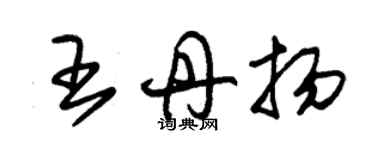 朱錫榮王丹揚草書個性簽名怎么寫