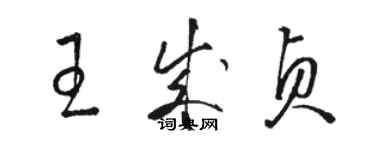 駱恆光王成貞草書個性簽名怎么寫