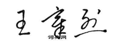 駱恆光王章烈草書個性簽名怎么寫