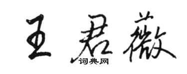 駱恆光王君薇行書個性簽名怎么寫